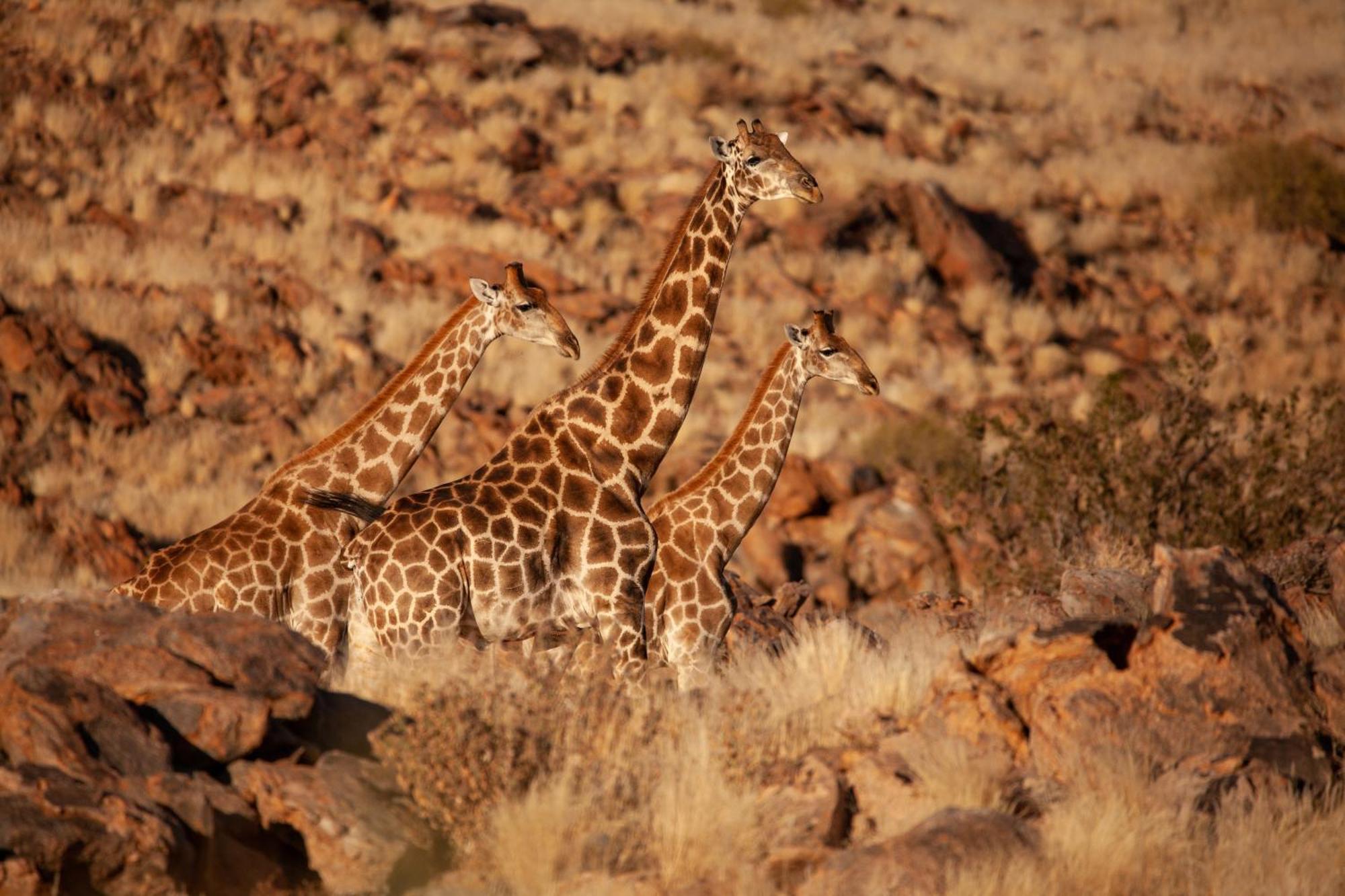 Sandfontein Lodge & Nature Reserve Exterior foto